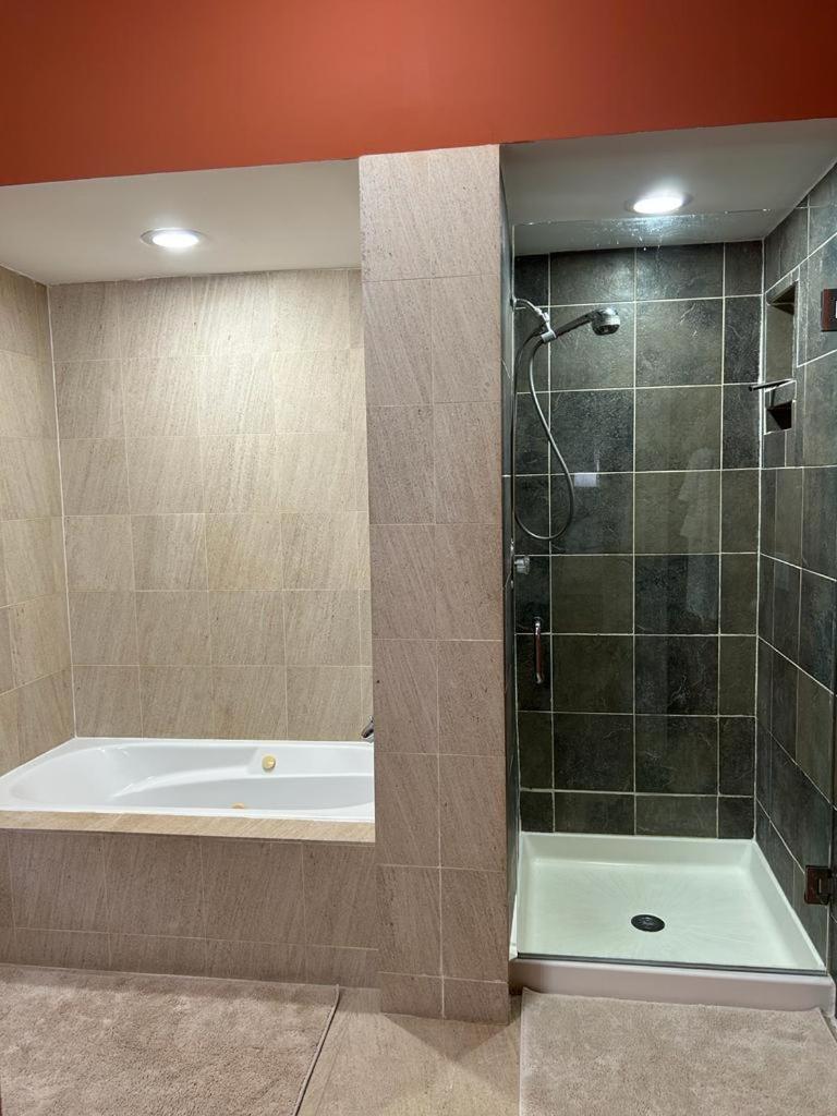 Apartamento Gorgeous North Kenwood Hyde Park Unit Chicago Exterior foto